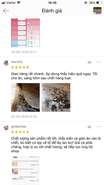 Thuốc diệt kiến gián tận gốc