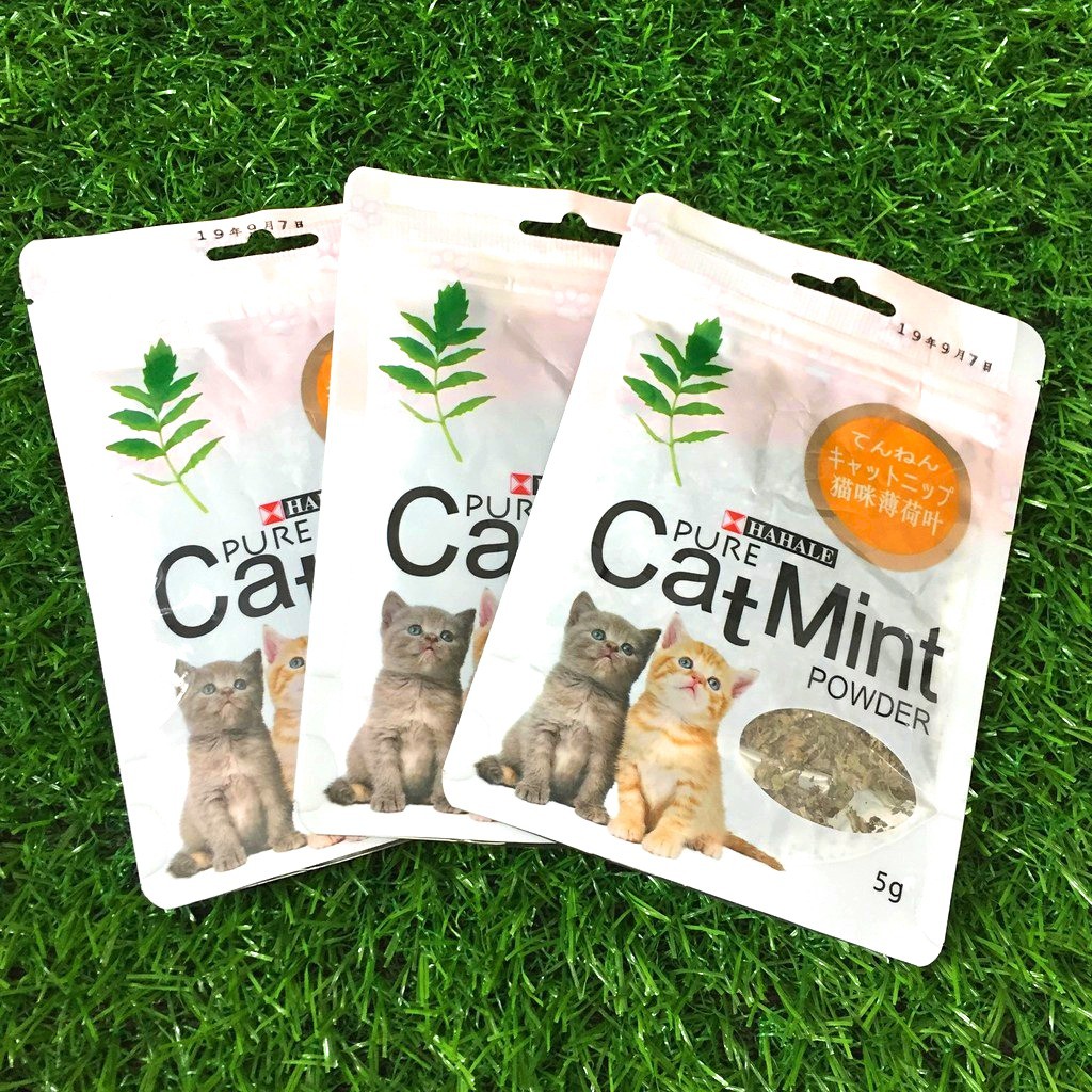 CỎ MÈO,CỎ CATNIP GÓI 5G CHO MÈO (HAHALE)