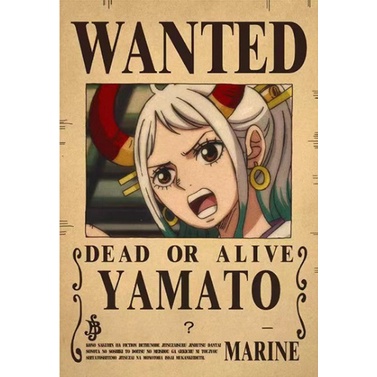 One Piece wanted poster luffy 3,000,000,000 Giấy dán tường trang trí tiết với 41 kiểu