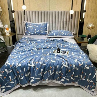 Chăn Lụa Hè 2022 Chăn hè lụa thái trần bông cao cấp, chăn lụa mùa hè thu mềm mát size 2mx2m2