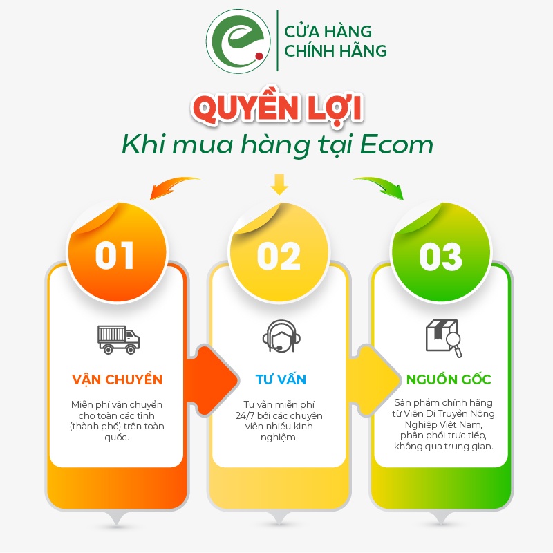 Trừ nấm sinh học cho ớt cà chua rau sạch, thán thư thối rễ sương mai, phấn trắng, trừ nấm Ketomium 500ml Ecom