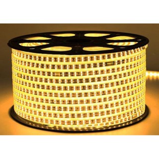 1 mét đèn Led dây đôi 2835 , ống nhựa 220V(bán theo m) 10m tặng nguồn , Mua nguyên cuộn liên hệ mã giảm giá