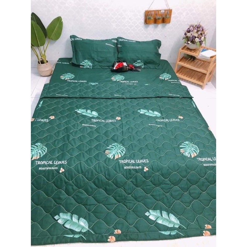 Set 3 món Ga Gối Poly đẹp mê ly nhiều mẫu xinh  Giặt máy giặt thoải mái , k bai, k xù