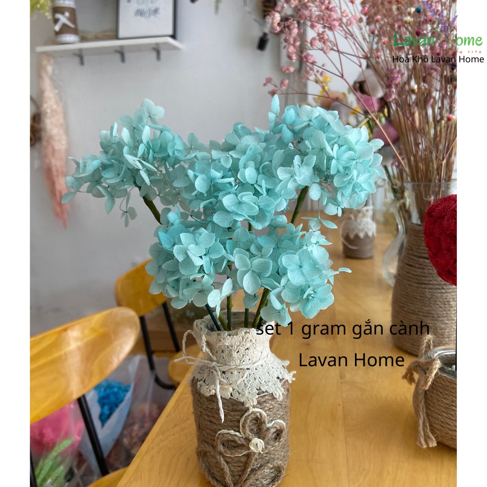 Cành hoa tú cầu ướp khô decor, trang trí bình hoa, hộp quà, dùng để cắm lọ trang trí hoặc bó thành phẩm siêu đẹp và bền