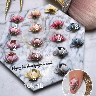 Hoa cúc ôm đá dinh ong