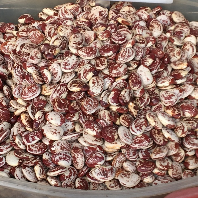 Đậu ngự 500g
