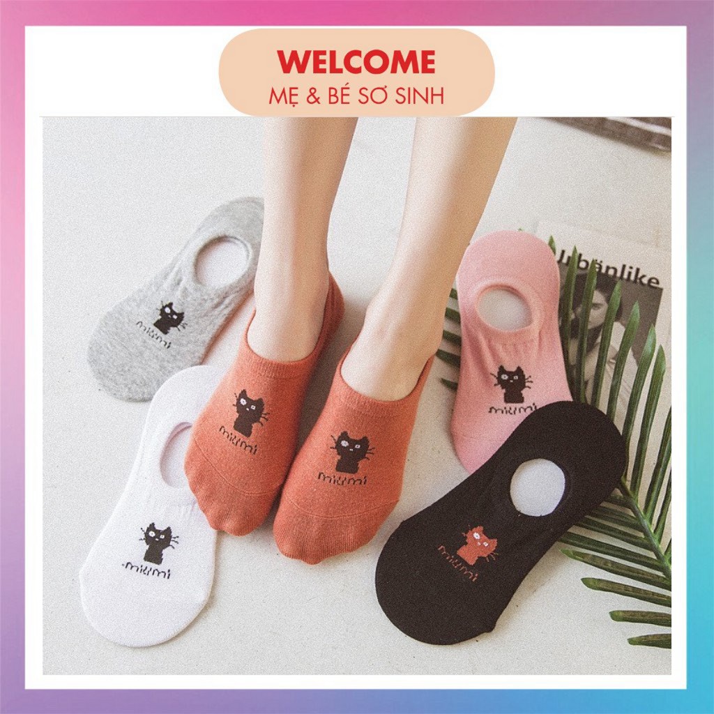 TẤT HÀI NỮ ⚡️FREESHIP⚡️ Set 5 Đôi Tất Hài MiuMiu Cho Bạn Gái