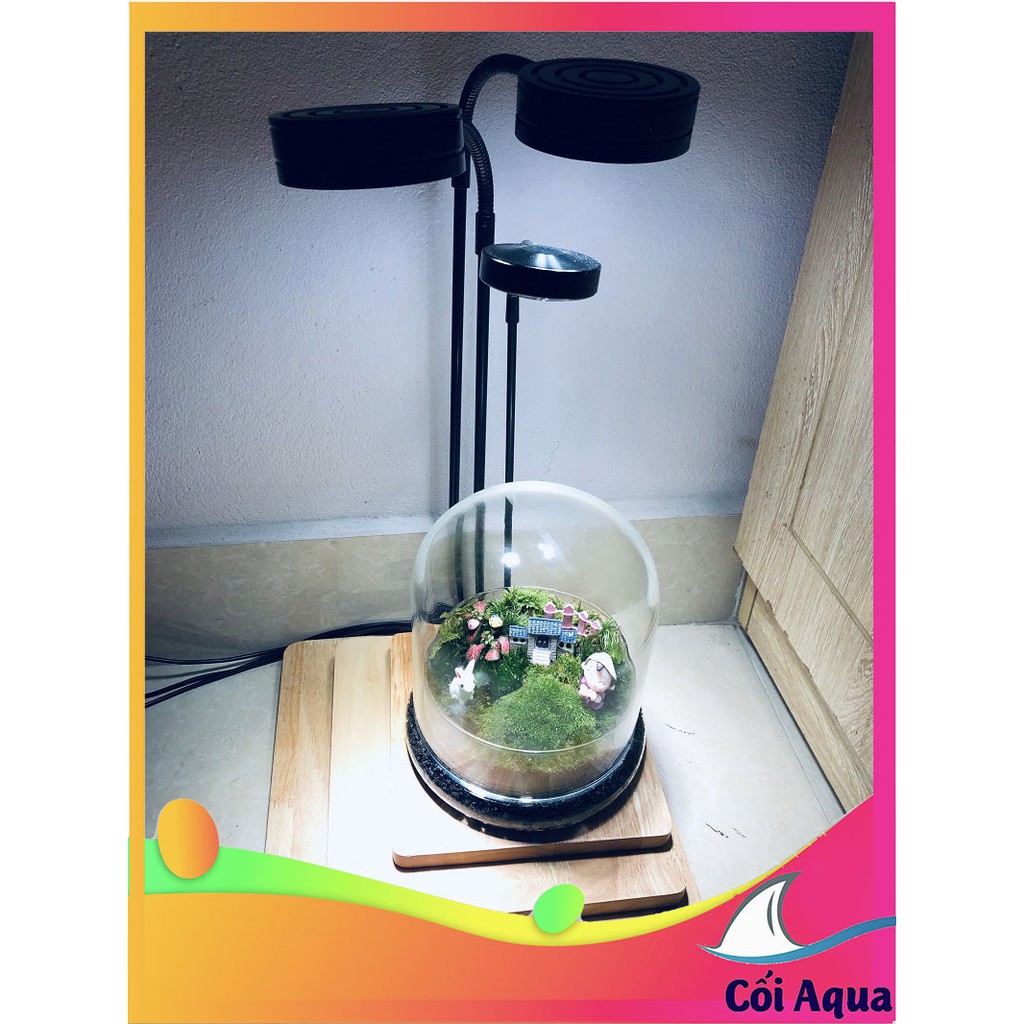 { Kèm 04 hít nâng đế) Đèn đế gỗ 3W, 5W, 7W 9W dùng cho bể Terrarium, bán cạn, thủy sinh nhiệt độ màu 6000-6500K