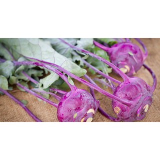 0.5GR - HẠT GIỐNG SU HÀO TÍM