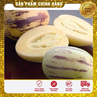 Hạt Giống Dưa PEPINO Mỹ(4 hạt)