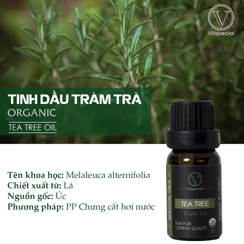 Tinh Dầu Tràm Trà Hữu Cơ | Organic Tea Tree Oil | Tinh dầu Nhập Khẩu - Vnspecial Oils (10ml)