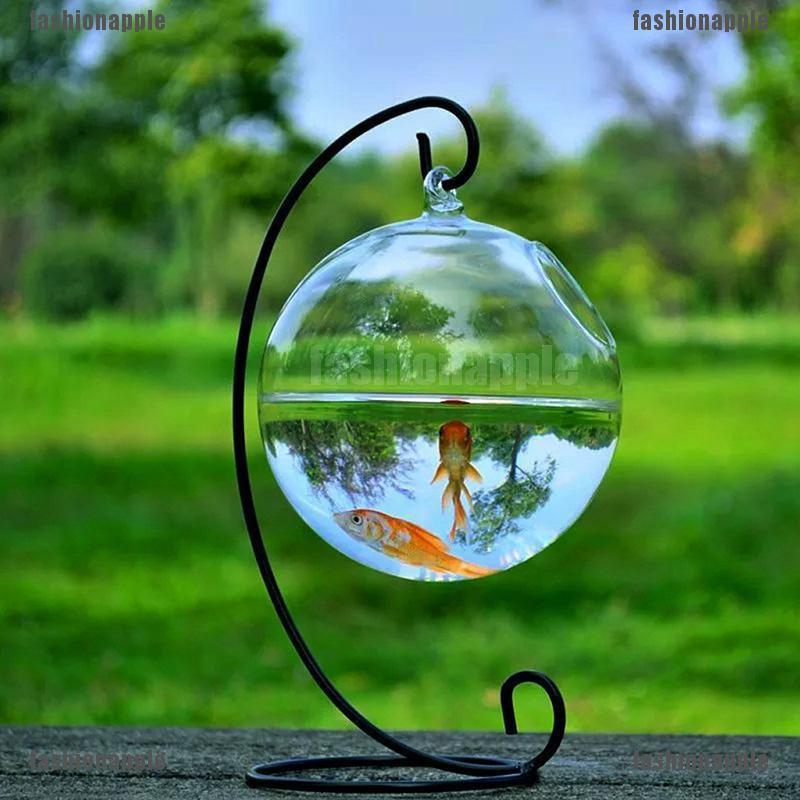 Bình Hoa Thủy Tinh Treo Tường Trang Trí Nhà Cửa