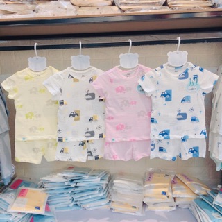 Bộ cotton giấy cộc tay Little Love
