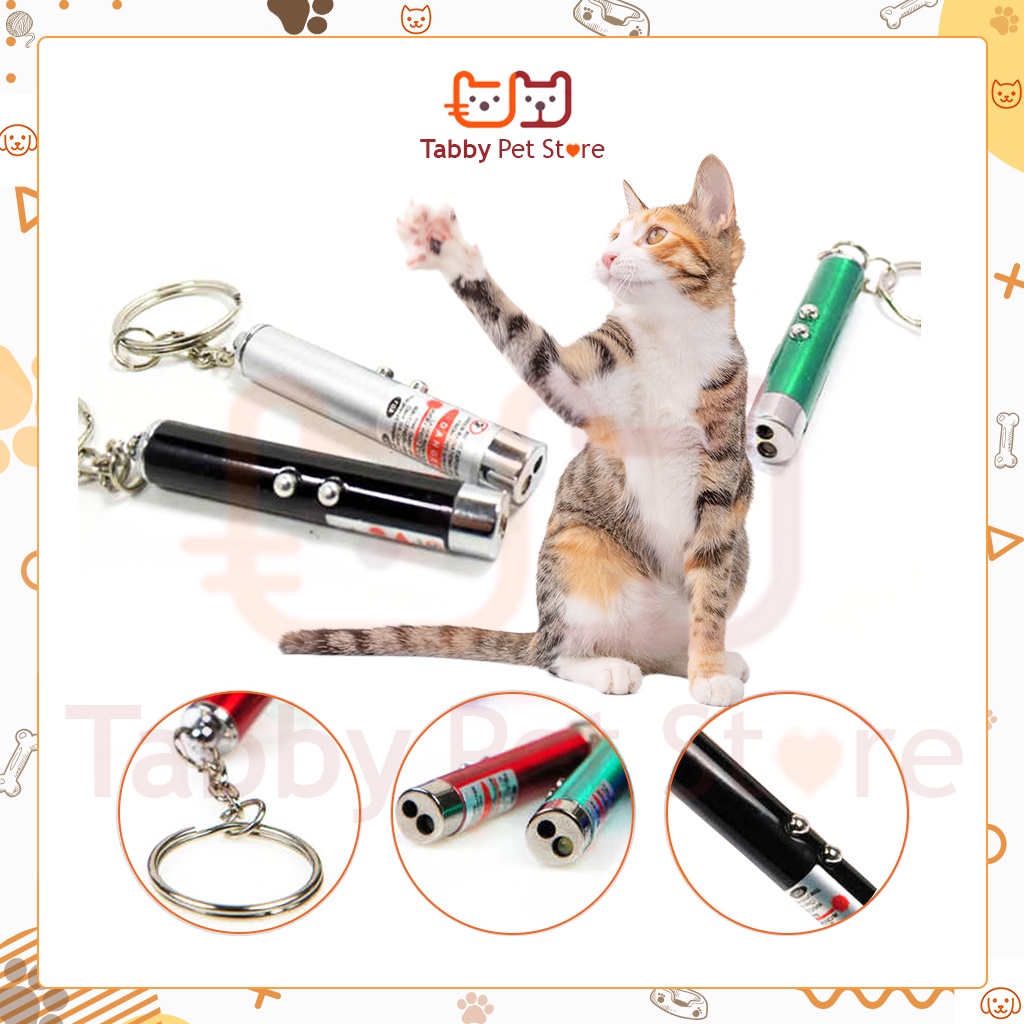 Đèn laze đồ chơi cho mèo thú cưng Tabby Pet Store