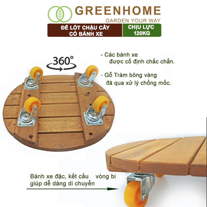 Đế lót chậu cây có bánh xe, hình tròn, bằng gỗ, chịu lực 120kg, R30xC8cm -Tặng 1 dĩa lót Tròn D25cm, nhiều màu |Greenhom
