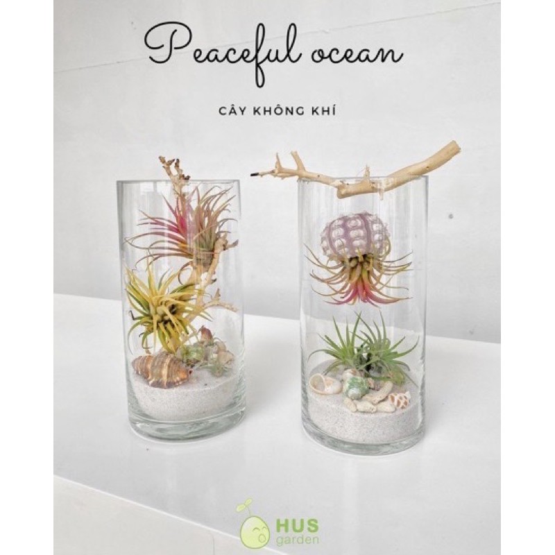 Chỉ cước tơ trong suốt 0.12mm - 0.18mm