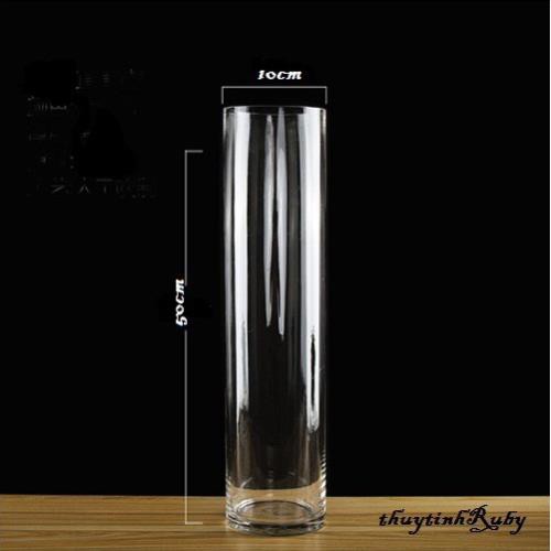 Bình Bông Lọ Hoa Thủy Tinh D10XH50Cm - Bình cắm bông lau khô