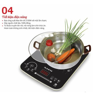 Bếp Từ SATO STB-203