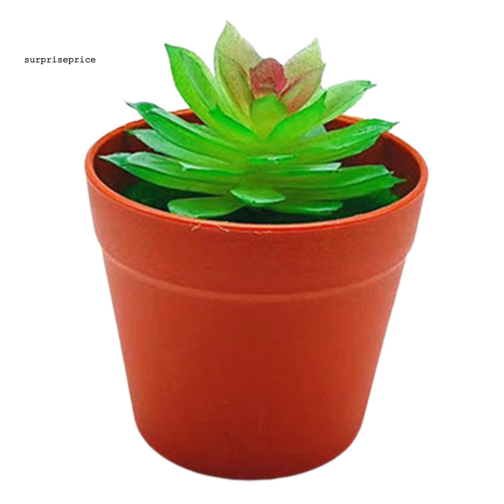 Chậu Cây Cảnh Nhân Tạo Sống Động Dùng Trang Trí