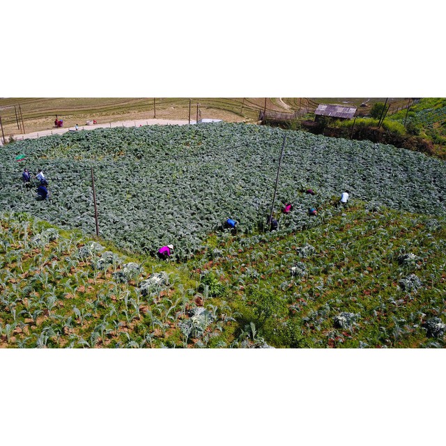 Cao Atiso Traphaco Sapa (Tặng kèm thìa Inox) 130g  Chính hãng Traphaco hỗ trợ trị mụn trứng cá tận gốc | BigBuy360 - bigbuy360.vn