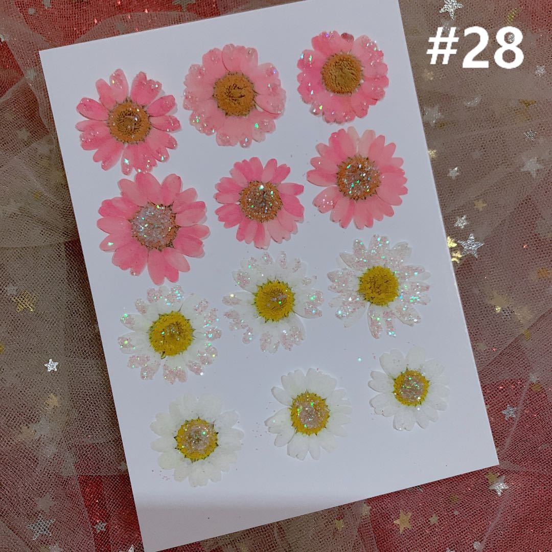 HANDMADE Miếng Dán Hoa Cúc Trắng Trang Trí Xinh Xắn | BigBuy360 - bigbuy360.vn