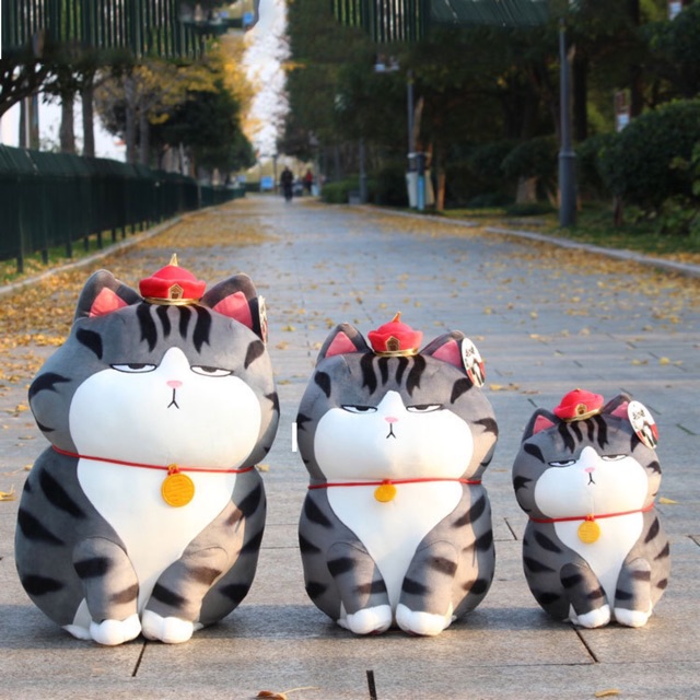 Mèo Hoàng Thượng minisso cao cấp nhập khẩu