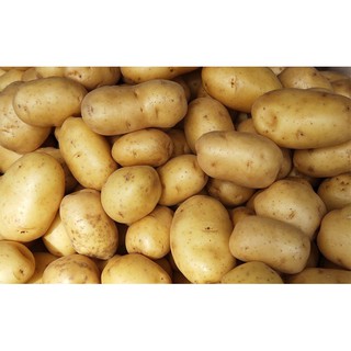 Củ khoai tây 500g