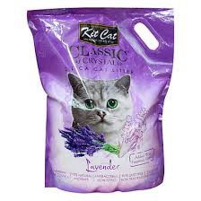 cát vệ sinh cho mèo - cát thủy tinh -kitcat 5L