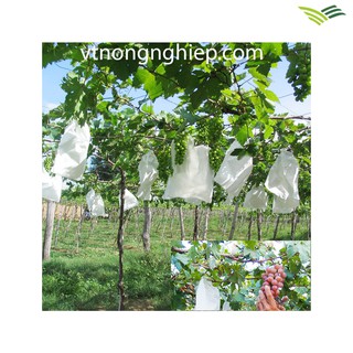 100 Túi 20x30cm Túi Bọc Trái Cây Xoài, Bao Bọc Chùm Nho