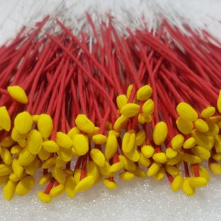 Nhụy hoa phượng