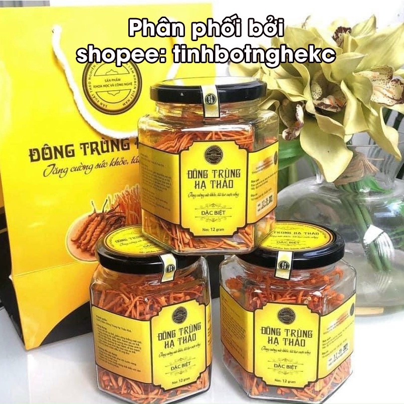 Nấm đông trùng hạ thảo cordyceps - viện hàn lâm khoa học công nghệ VN - Khối lượng 12g