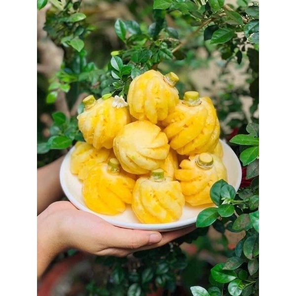 Khóm Thái Mini Chính Vụ Bao Ngon