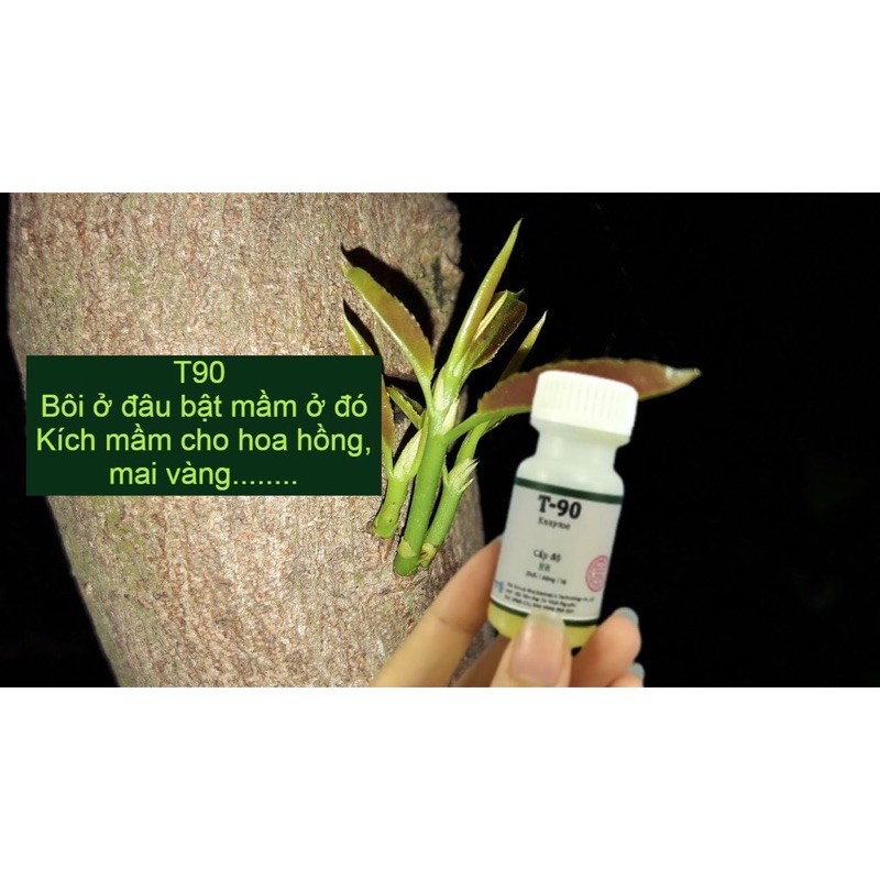 Siêu kích mầm T90 / chuyên dùng cho Hoa Hồng, Mai, Phong Lan 🌱