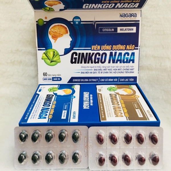Cải Thiện Giấc Ngủ Và Trí Nhớ - Ginkgo Naga Tăng Cường Máu Lên Não, Giúp Làm Dịu Chứng Rối Loạn Tiền Đình