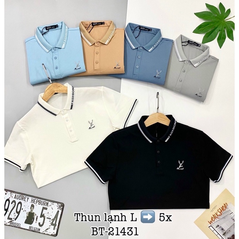 Áo Thun Nam Có Cổ ,Kiểu Dáng Body ,Trẻ Trung ,Năng Động (KIM ANH STORE 1003/2 Bình giã Vũng Tàu)