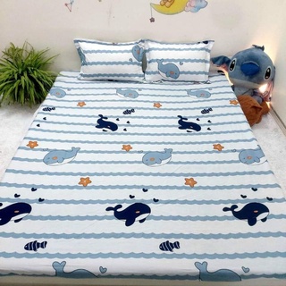 Ga gối giá rẻ bất ngờ