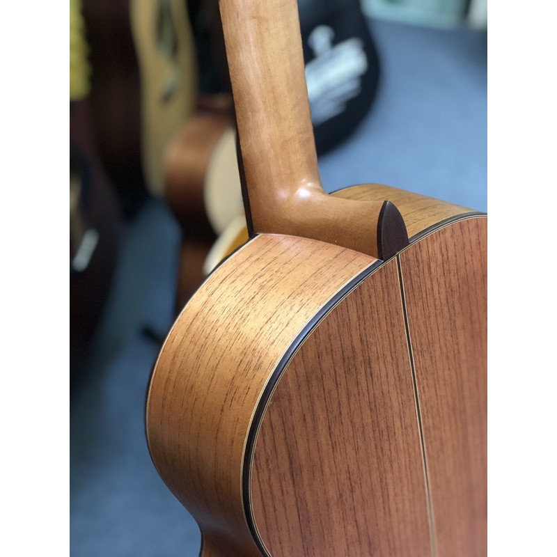 Guitar Classic gỗ hồng đào già cao cấp