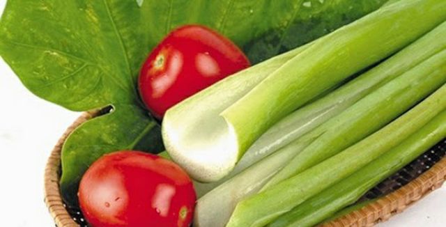 Cây giống môn bạc hà để nấu riêu ,siêu dễ trồng