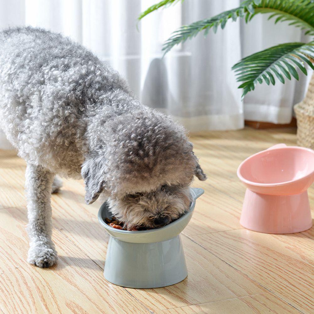Tô Đựng Thức Ăn Cho Thú Cưng Chống Tràn