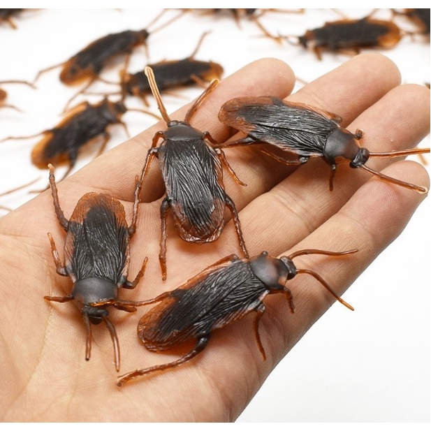 Con Gián Đồ Chơi Cho Chó Mèo