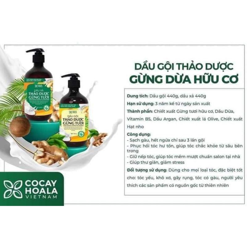 Cặp dầu gội gừng dừa