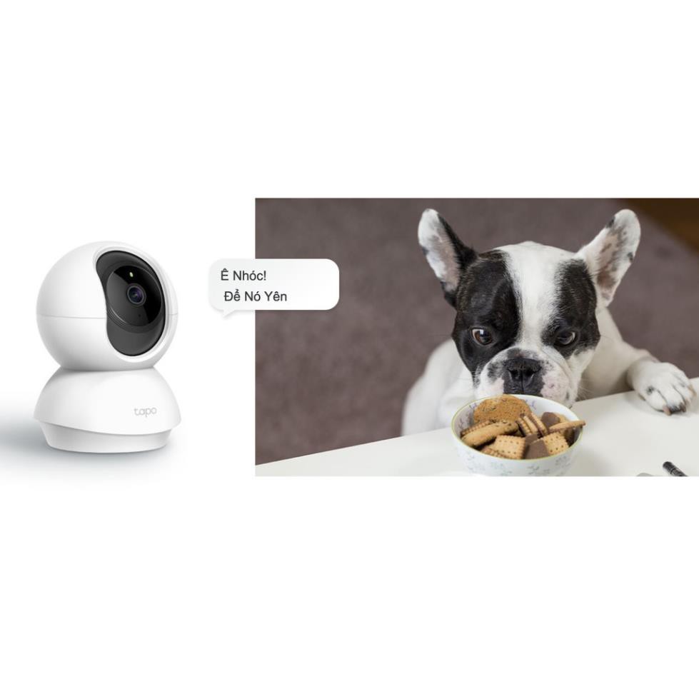 Camera TP-Link Tapo C200 Độ phân giải Full HD 1080P - Xoay 360 độ - Thông báo chuyển động