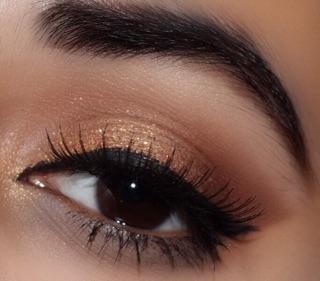 phấn mắt Morphe 35O 