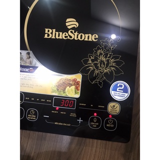 Bếp từ BlueStone ICB-6627