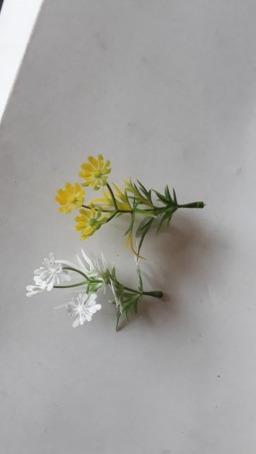1 kg cỏ điểm ngẫu nhiên