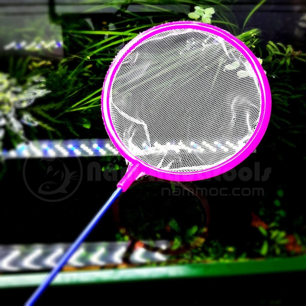 Vợt Cá Tép Tròn | Vợt cá nhỏ (màu ngẫu nhiên)