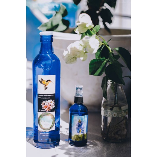 Combo 02 chai thái dương lam thủy 500 ml và 100 ml