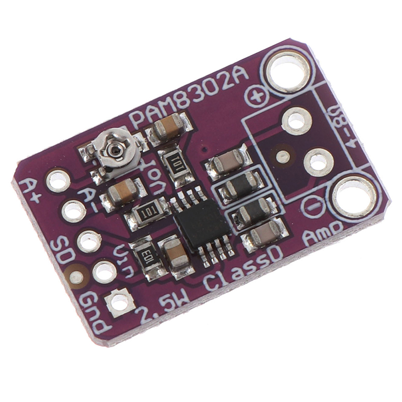 CHANNEL Bảng Mạch Khuếch Đại Âm Thanh Pam8302 2.5w Class D | BigBuy360 - bigbuy360.vn