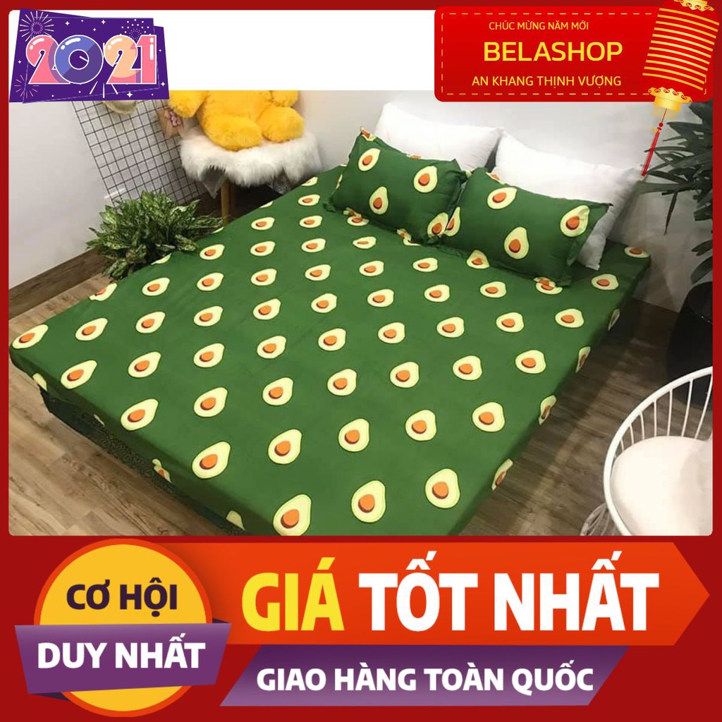 Combo 1 ga 2 vỏ gối cotton poly hàn mẫu trái bơ 1m6