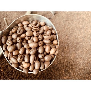 cà phê culi robusta 500g